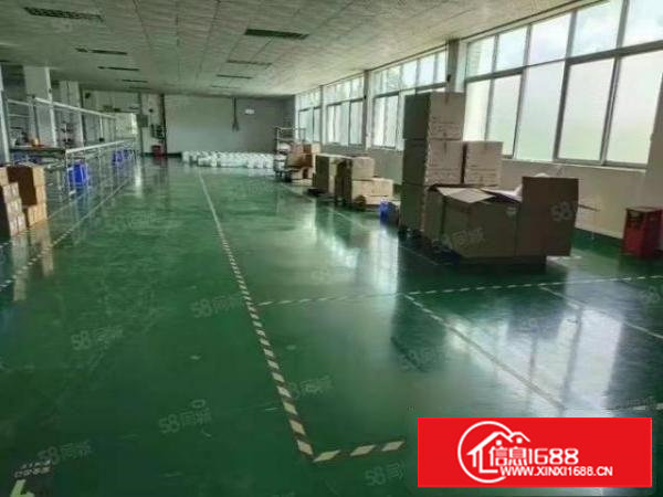 塘厦沙湖新出独院1800平平方招租，含宿舍办公，形象好实用率