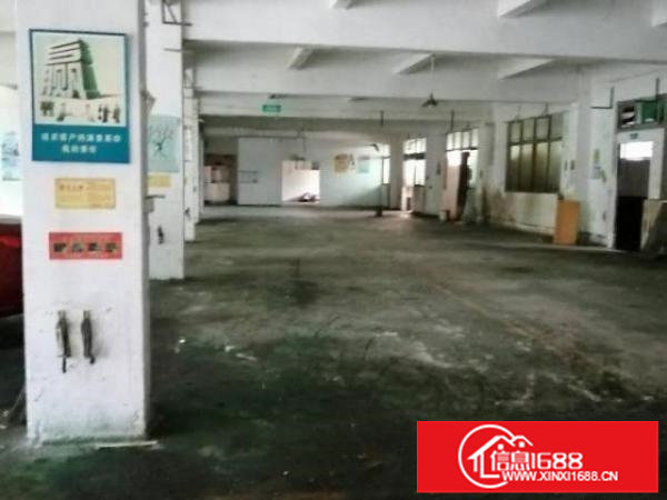 坪山石井坪葵路262号