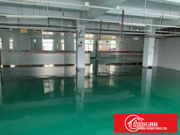 大朗镇佛新工业区一二楼每层800平厂房出租，有装修