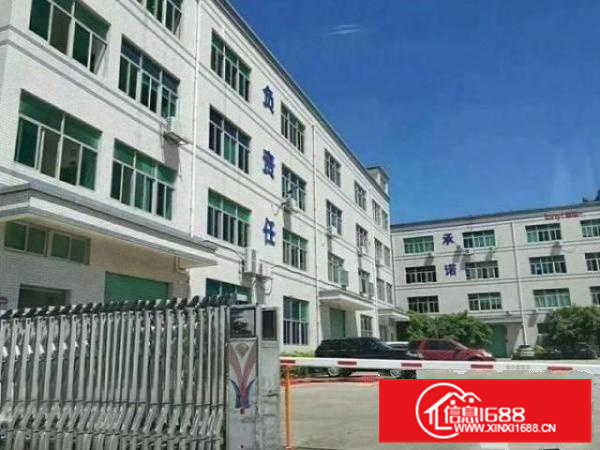 带装修招租丹灶桂丹路1楼550平电子厂房