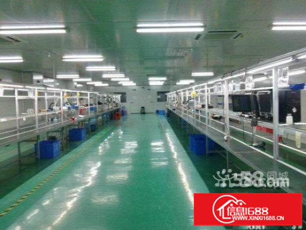 坂田利金城科技园3楼3250平带装修急租花园式厂房