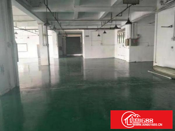 清溪清厦1楼标准厂房500平招租，精装修