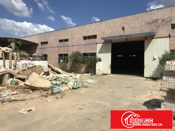 秋长镇新出原房东6000平方独门独院标准钢构厂房