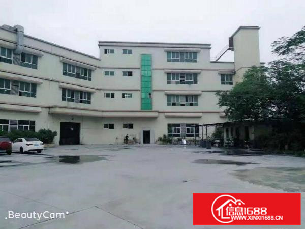 独门独院标准厂房，院内空地大，107国道边，高速路口旁