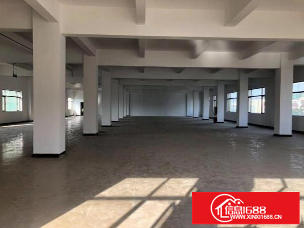 9000平方独院标准电梯厂房招租，电600KVA