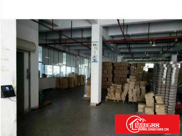 清溪标准厂房一楼2000平环境优美火爆招租