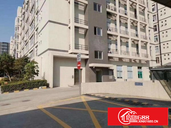 樟木头新出200-1300平出租可分租带精装修水电到位