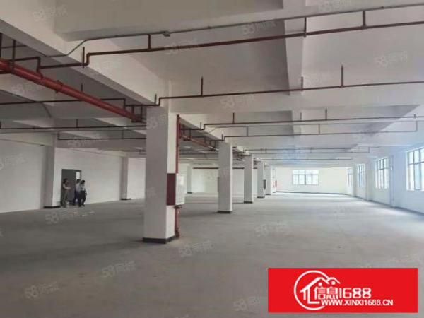 大岭山原房东厂房出租大小分租,红本环评