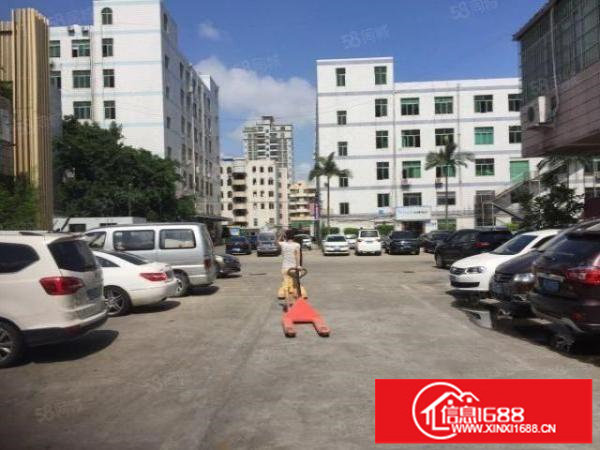 使用率高原业主上雪科技园新空整层1500平厂房电商仓库可分