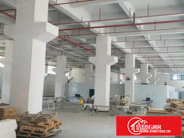 清溪三中工业区一楼3000平超大空地厂房出租200起分租