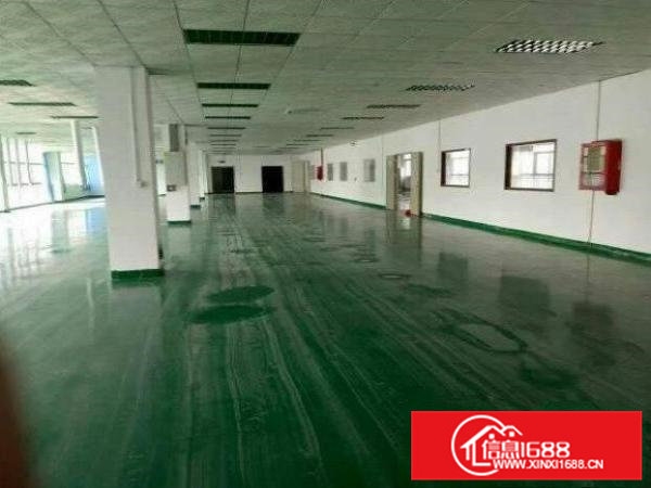 常平天鹅湖楼上带装修950平方厂房出租