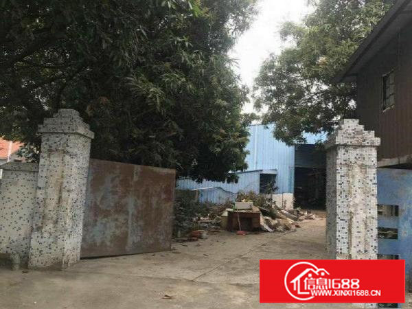 （滴水7米）塘厦东深线2000平方米单一层厂房招租