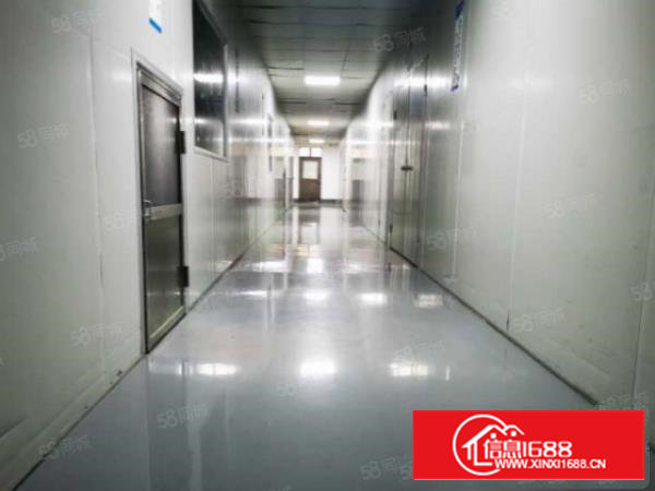 西乡新出700平厂房中心位置交通方便，业主急租