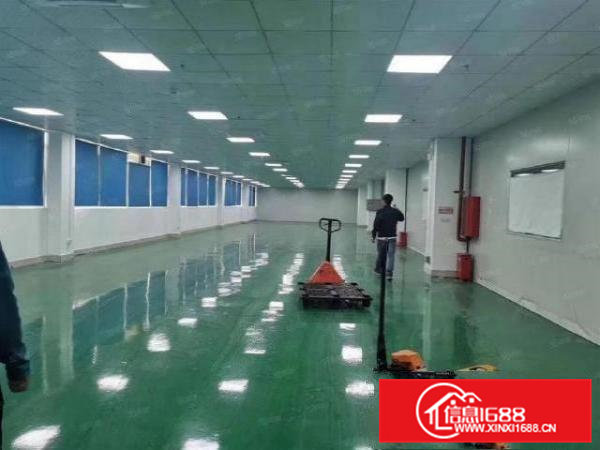 企石新南村3楼1300平米带装修厂房出租交通便利