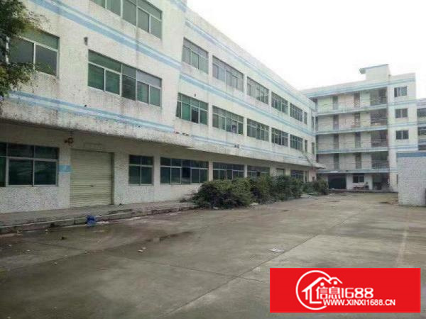 坪山区石井工业园6000平米独院厂房招租