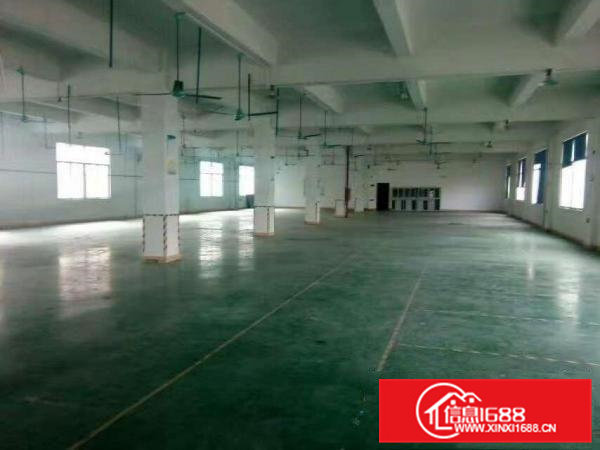 横沥镇山厦工业区分租标准一楼800平方厂房