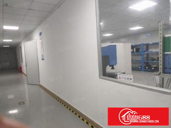 石排楼上600平方新出。原房东特价尾盘。看上就租