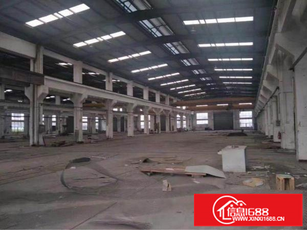 惠州仲恺陈江镇新出原房东独门独院滴水8米钢构