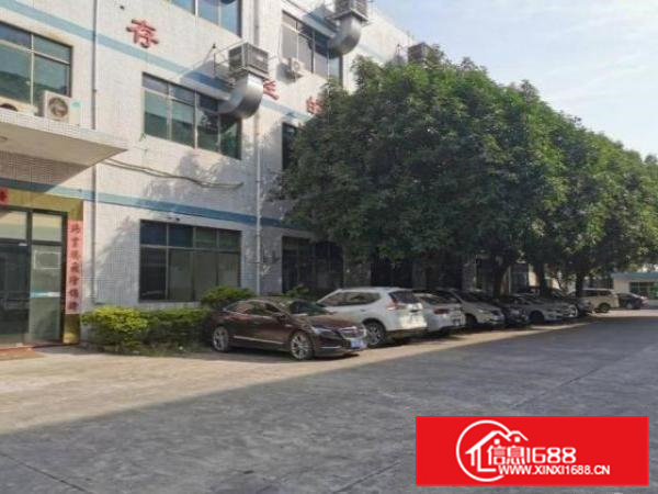 清溪荔横村标准一楼1600平米，带精装修办公室厂房出租