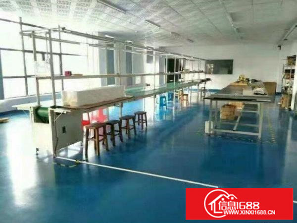 坂田文化广场独院楼上350平方现成装修出租，小面积便宜租