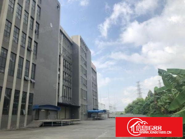 东莞万江中心区新建物流园1000平起租,按需定制,价格优惠!