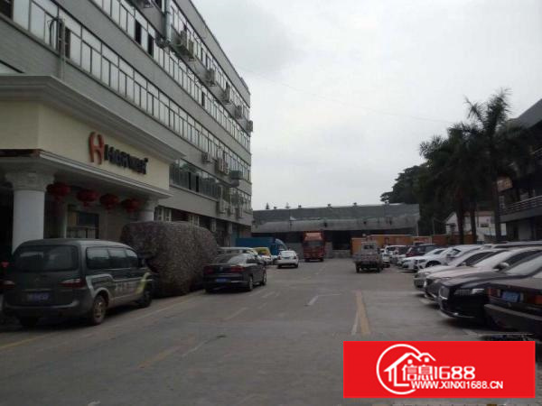 观兰牛湖石二村新湖路4楼360平米厂房出租