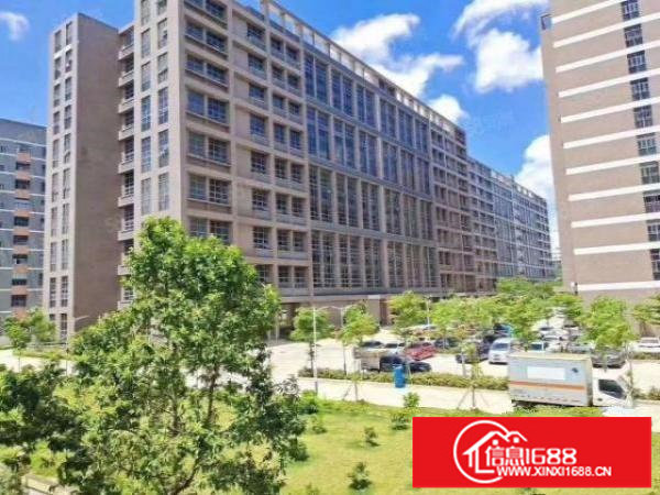 松岗高速出口新出原房东二楼整层2600平方厂房分租无公摊