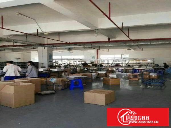 龙岗宝龙高新区新出原房东豪华装修楼上1200平