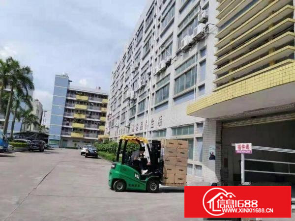 布吉新出楼上660平方带豪华装修厂房转租