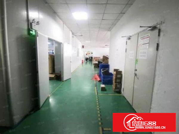 长安乌沙一楼650平厂房出租带装修独立办公室