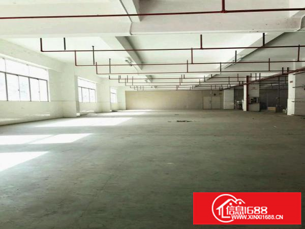 二楼300平米，食品仓，红酒仓库，临近金鹏物流