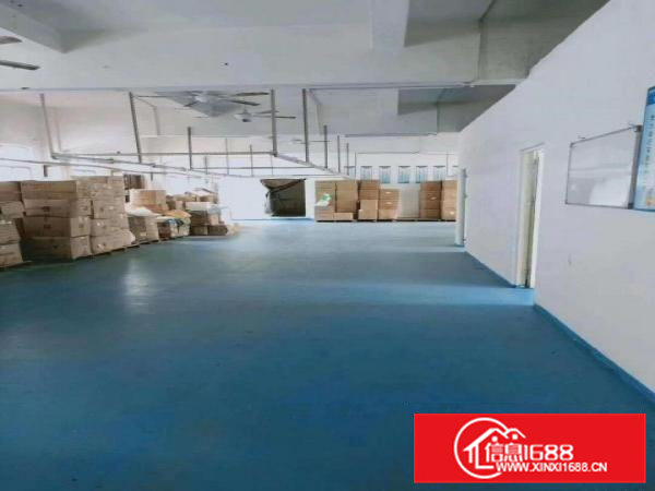 凤岗官井头贸易淘宝电商办公室出租310平方精装修