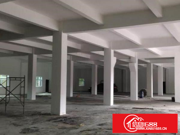 深圳龙华大浪2000平方红本厂房，适合仓库，大小面积可分