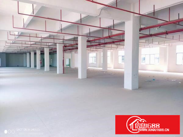 塘厦科苑城新出二楼2600平标准厂房，无公摊价格美丽