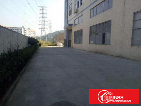 大岭山镇杨屋工业厂房,仅剩一楼850平方,低价出租!