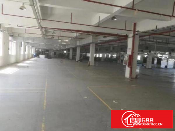 出租龙岗区坪地六联原房东标准厂房没有公摊租金便宜