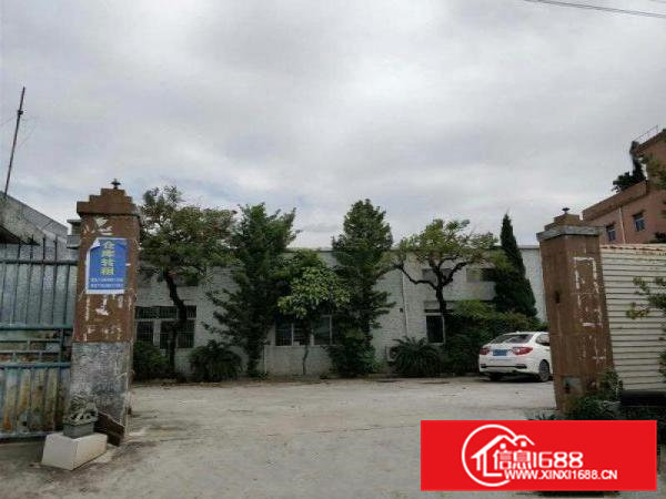 出租常平横江厦厂房