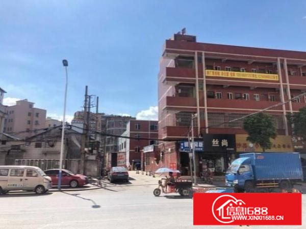 金沙洲附近罕见花园式标准混凝土厂房