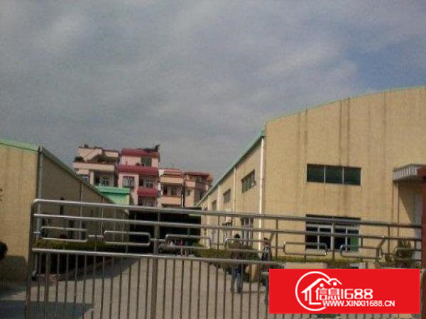 常平金美单一层厂房1000平方带行车出租