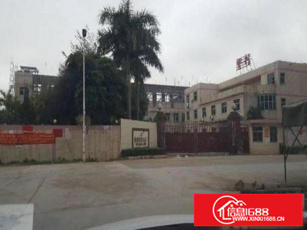 惠州新圩新出独院厂房8000平方,带精装修办公室