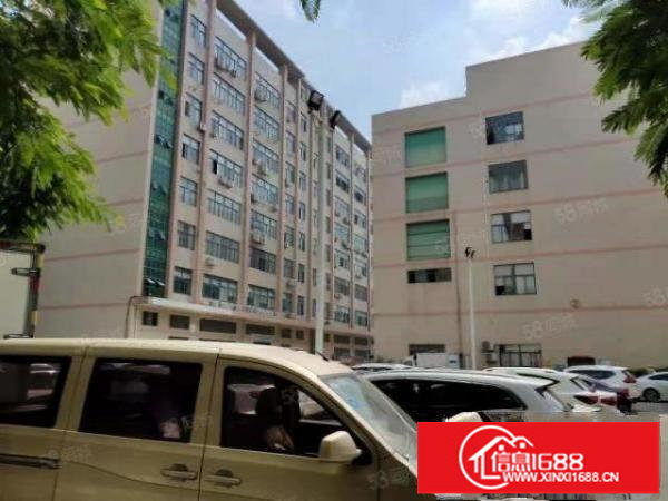 坂田五和大道边单层1400平原房东带装修电子生产厂房免转让费