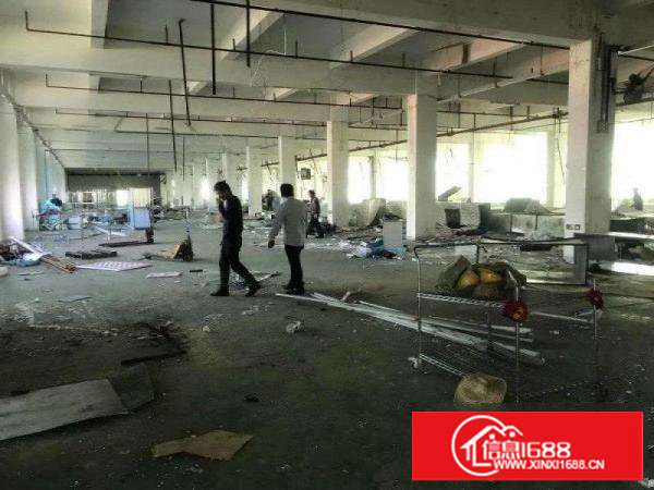 塘厦高速路口花园式厂房三层13500平方出租