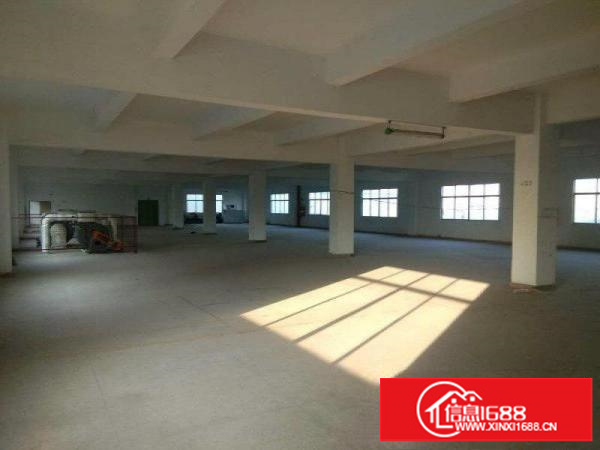 坪山4000平方独院招租