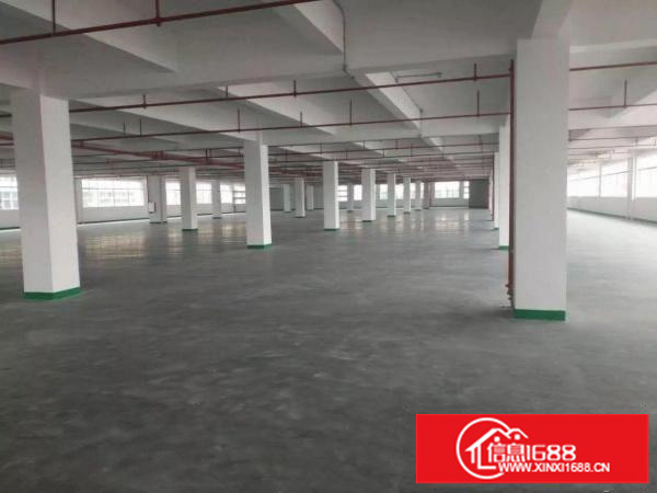 坑梓金沙新出独院厂房3层4000平方出租，租金合适