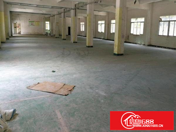(一楼)龙岗新生1300平方厂房出租！可分租