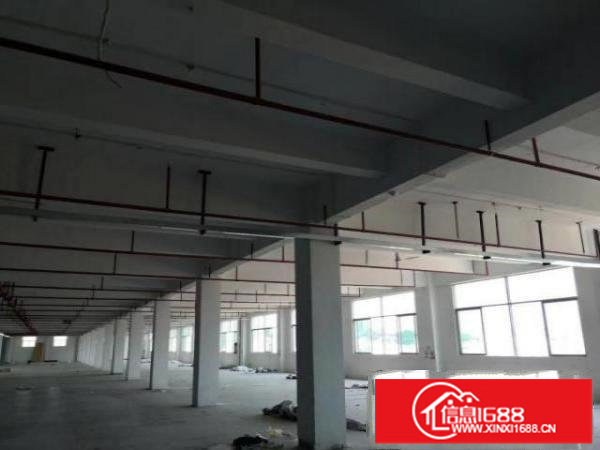 观澜轻轨站边楼上3160平精装厂房大小可分租带消防喷淋