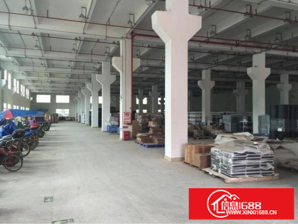 新圩全新钢构厂房3000平米位于坪地六联周边