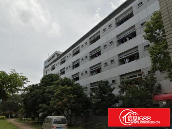 石碣原房东宿舍改厂房（改造中）出租：