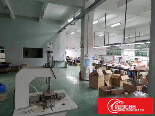 清溪三中原房东标准厂房一楼586平米带装修出租