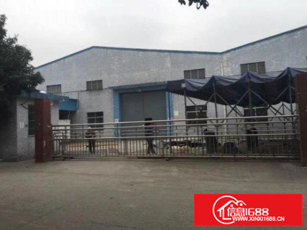 5吨吊机厂房出租，五沙1600方，可办环评，好招工